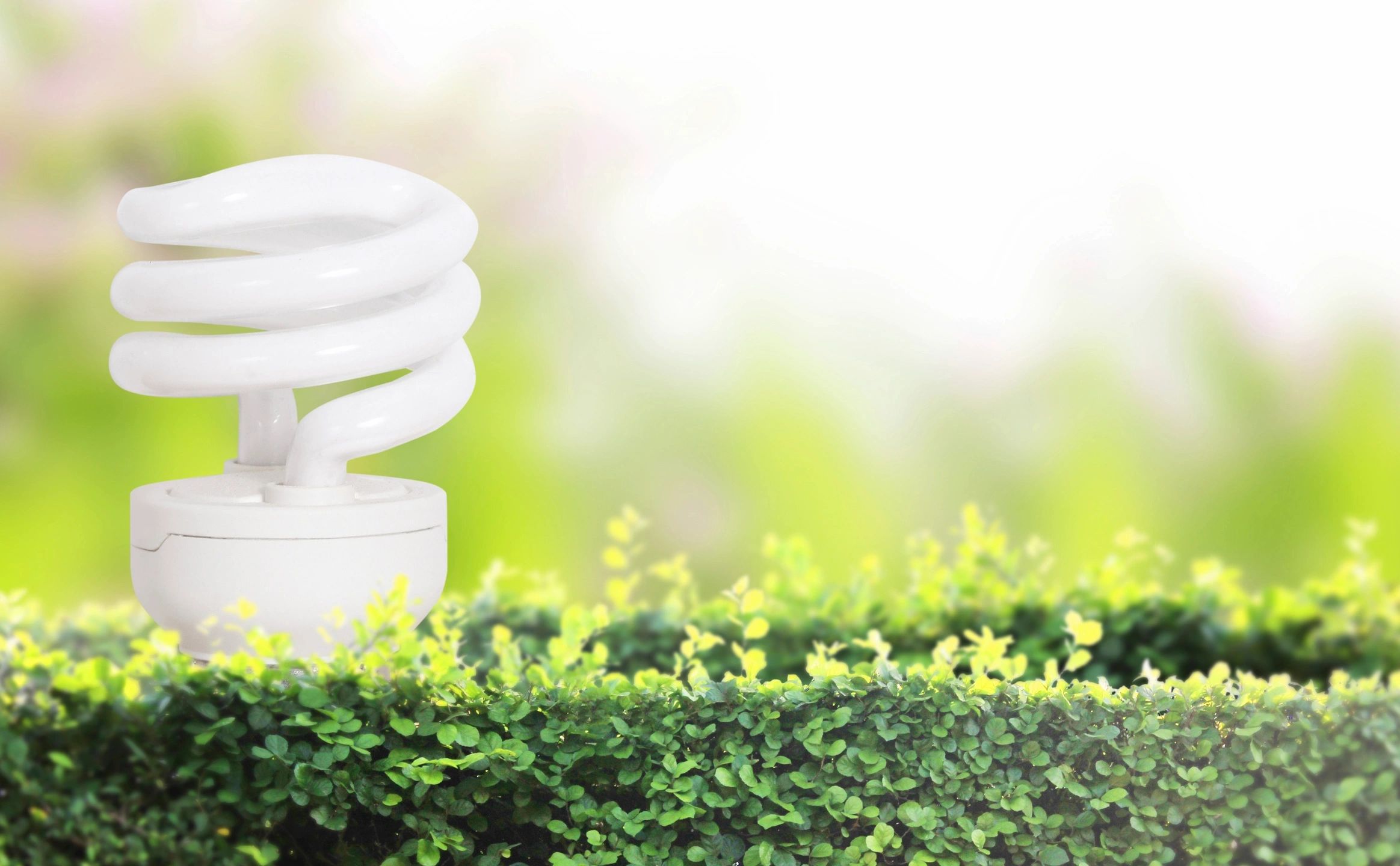 Qatar Is Actively Developing Its Renewable Energy
